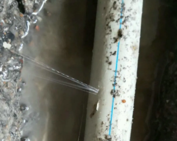 明水卫生间测漏水多少钱