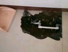 明水卫生间测漏水多少钱