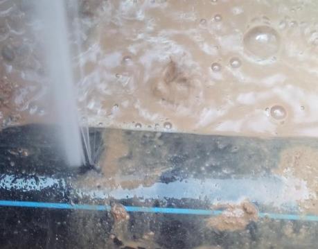 明水卫生间防水哪家好